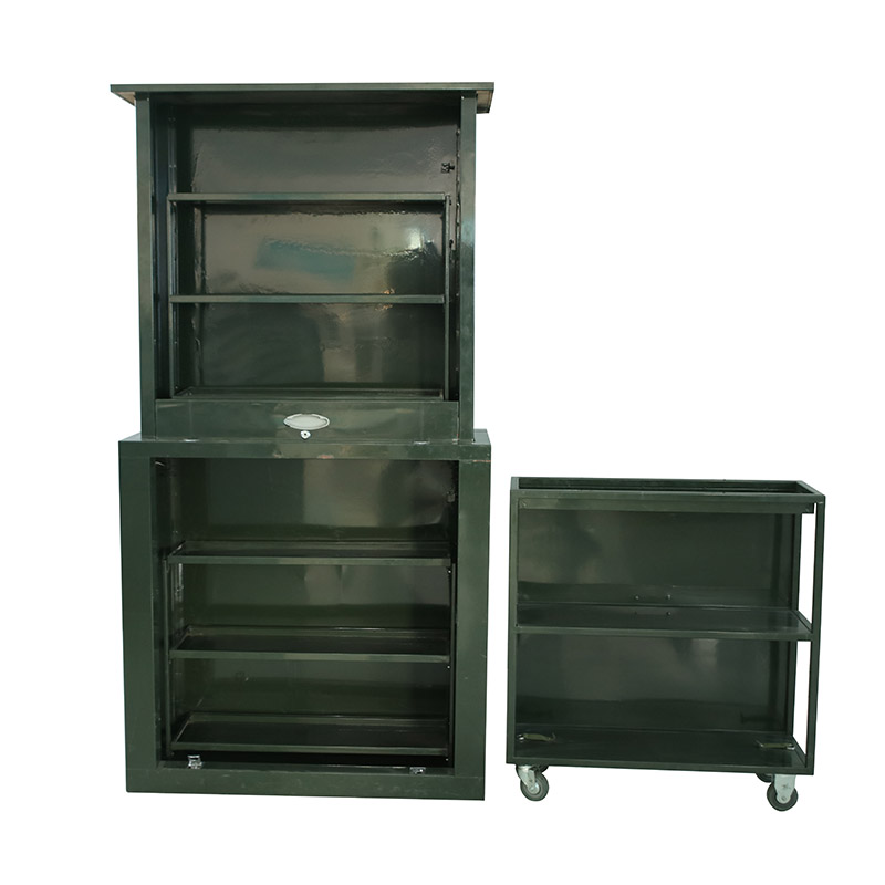 customized multipurpose medicine cabinet